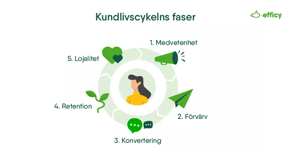 Kundlivscykelns olika faser