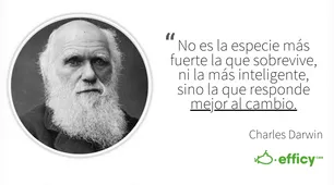 Charles Darwin Phrase - Analysis Competition - Analisis de la Competencia
