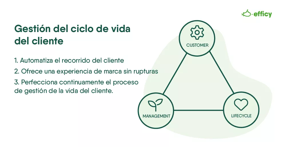 Aquí tienes la gestión del ciclo de vida del cliente