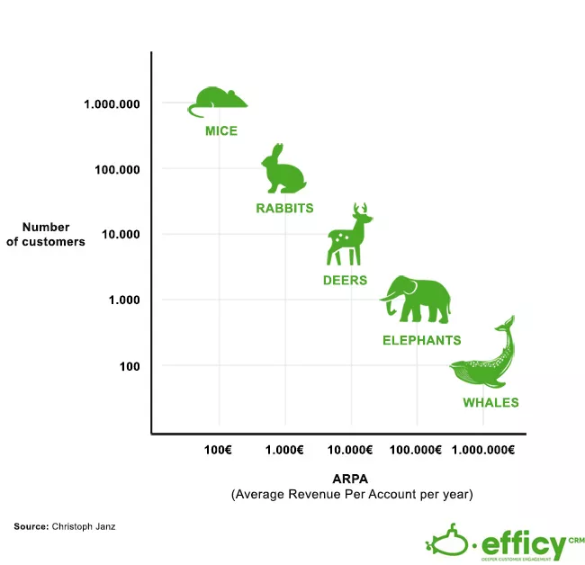 graphic-large-company-sme
