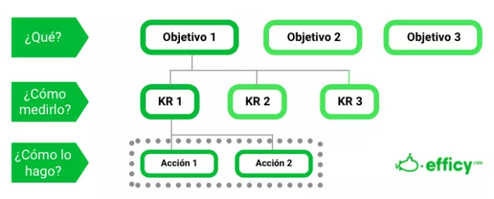 okrs
