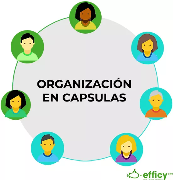 organizacion de ventas en capsulas