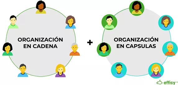organizacion de ventas en Efficy