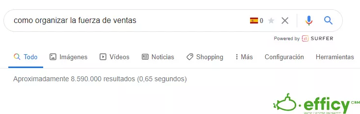 organizar fuerza de ventas articulos